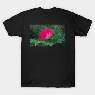 Pink Pom Pom T-Shirt